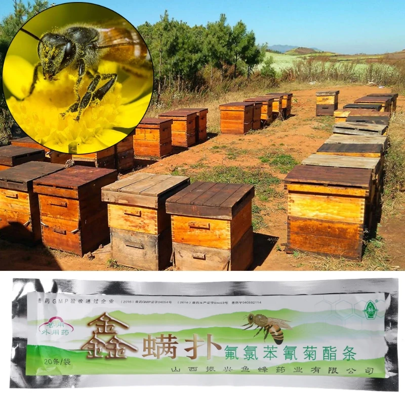 

20Pcs/Pack Professional Acaricide Against Bee Mite Killer Beekeeping Medicine SD-JQ