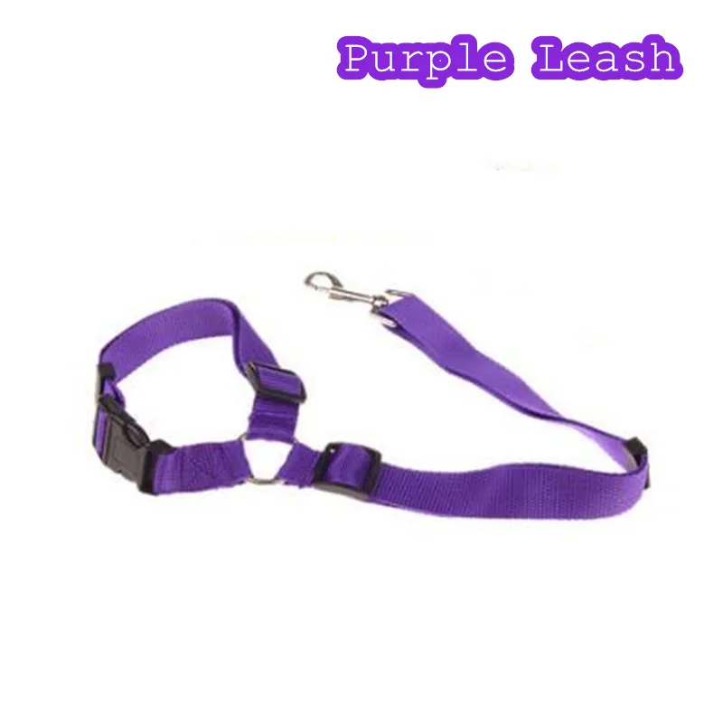 Ремень безопасности для щенка, собаки, ремень безопасности для домашних собак, ошейник для собаки, поводок, 5 цветов - Цвет: Purple Leash