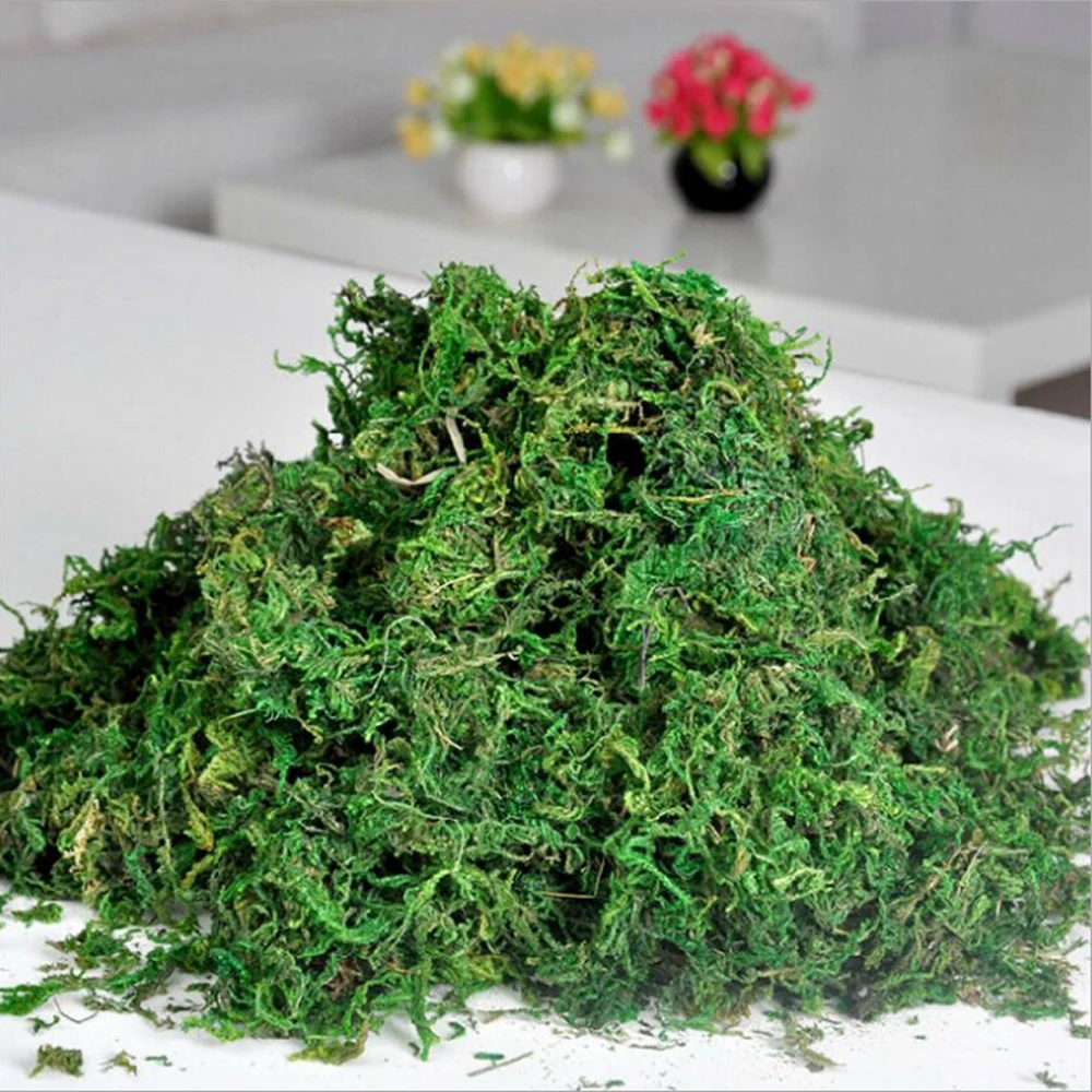 40g/Bag Artificial Flower Dried Reindeer Moss for Garden Home Decoration DIY Craft Flower Bonsai Basket Plant Wedding Turf Decor 40g/Bag Artificial Flower Dried Reindeer Moss for Garden Home Decoration DIY Craft Flower Bonsai Basket Plant Wedding Turf Decor
