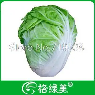 

Pe-tsai vegetable bonsais 100pcs