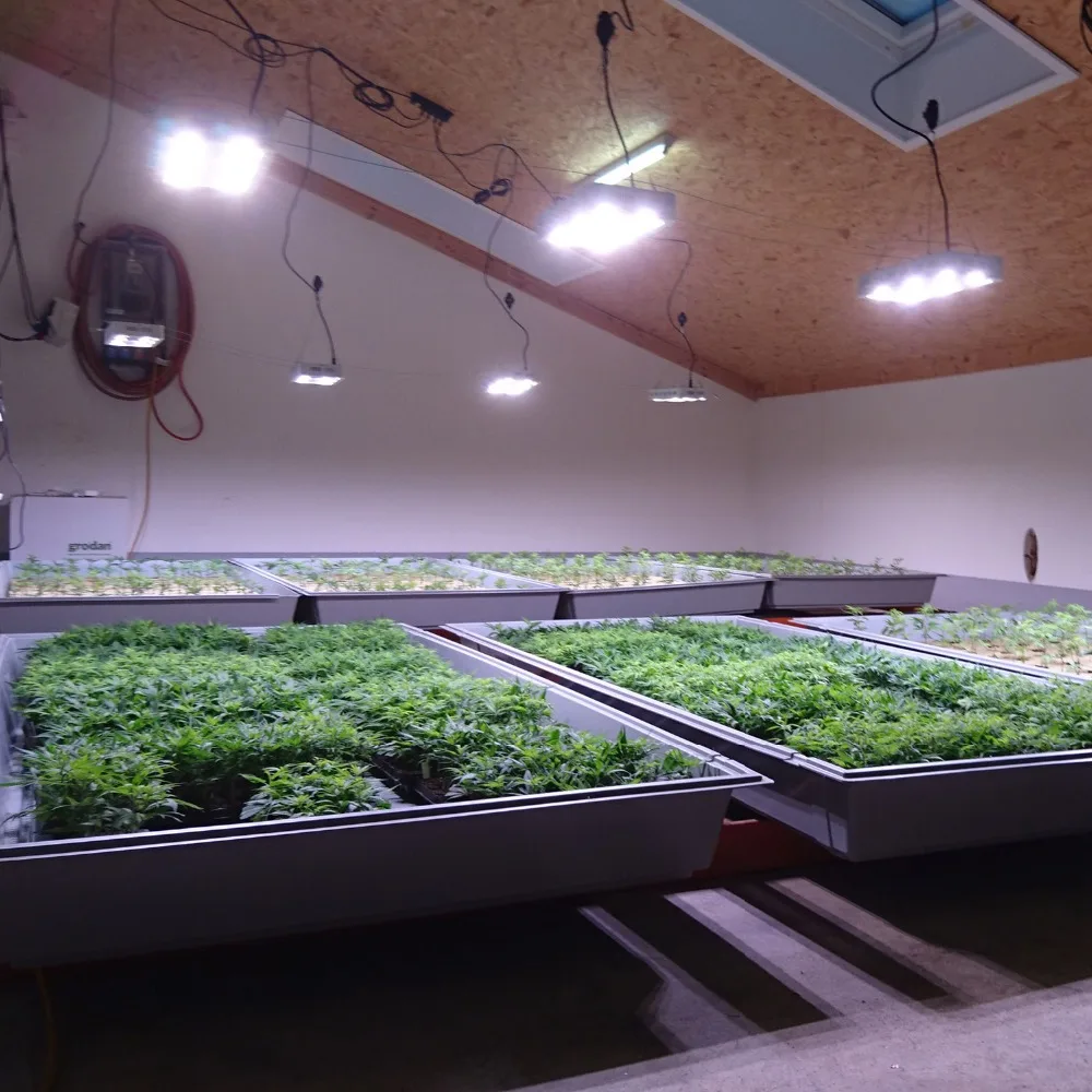 Светодиодная лампа полного спектра для выращивания растений 1800 нм Вт|cob led grow