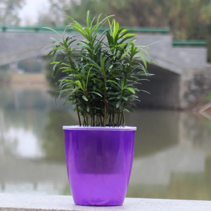 Автоматический горшок для воды пластиковая смола для Нарцисса зеленые горшки зеленые растения и ленивый цветок размер цветочный горшок