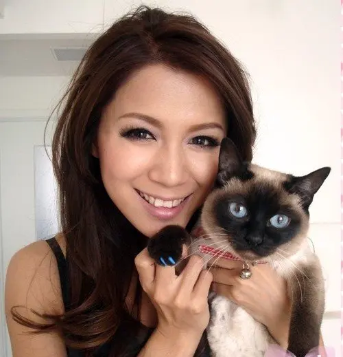 Новогодний подарок для домашних животных оптовая продажа 100 шт. в комплекте