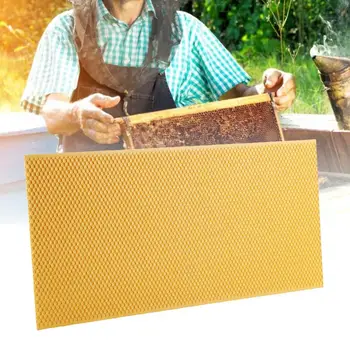 

Plastic Beekeeping Frame with Comb Foundation Beekeeping Tool