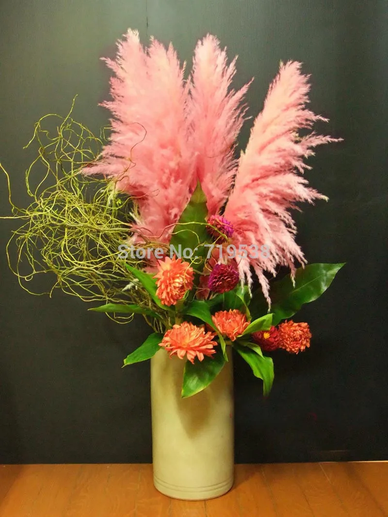 Flowers seeds vary color outdoor Bonsai Flower Seeds easy to plantting Rare Blooming Flowers 200 Seeds / Pack