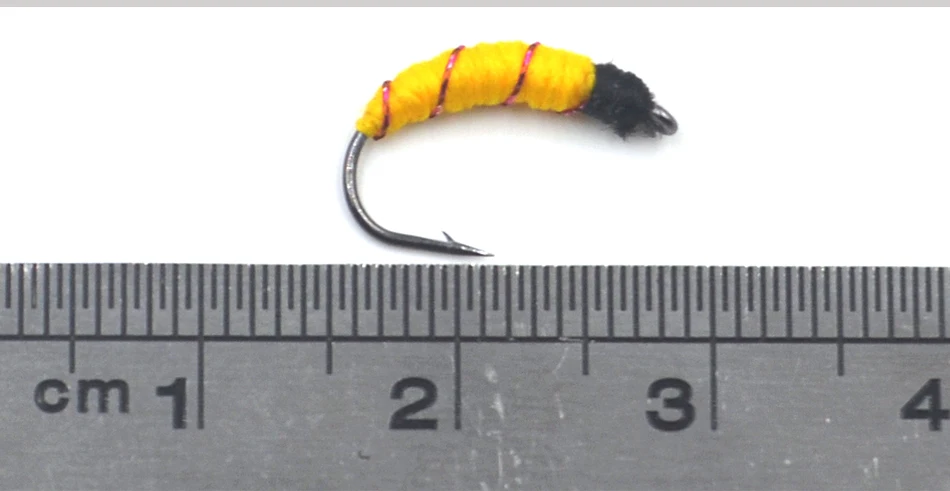 F555-_08