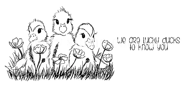 TJ-1455A-LUCKY-LITTLE-DUCKS__92984.1516827444