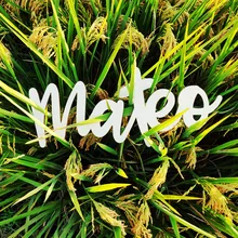 Пользовательский детский Знак имени Деревянный ребенок имя девушка Украшение стен в детской комнате персональный стол буквы знаки