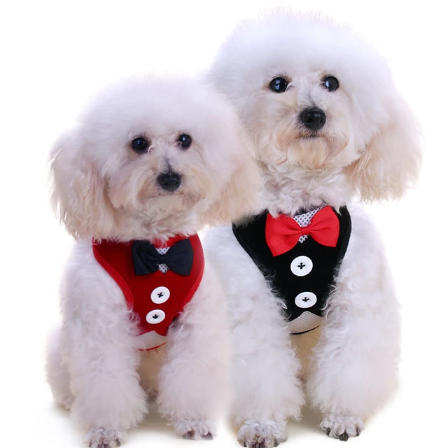 XPangle Pet Dog Harness Guinzaglio Set Vestiti Del Cane Della Maglia per Cani di XPangle Pet Dog Harness Guinzaglio Set Vestiti Del Cane Della Maglia per Cani di