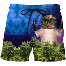 YX Girl 2018 New Fashion Men Glass Cat 3d printed Casual shorts Weeds Funny Cat Short Mens Summer Cool Trousers Dropshipping