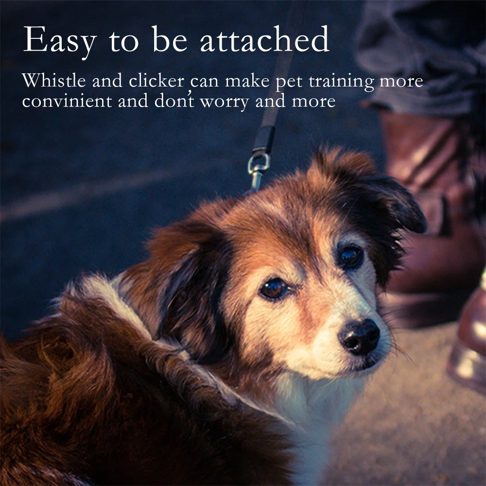 2 In 1 Cheap Pet Dog Training Clicker With Whistle Pet Clicker Whistle To Stop Barking Sit Down Dog Training Tool