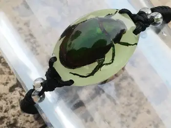 

FREE SHIPPING 3 bracelet real green beetle bangle glow jewelry specimen Mix Rope