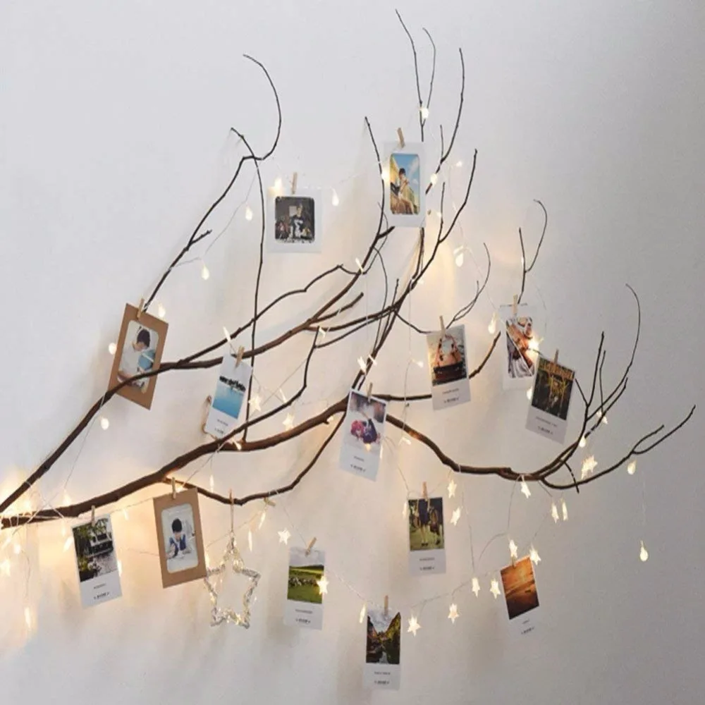 picture frame (2)