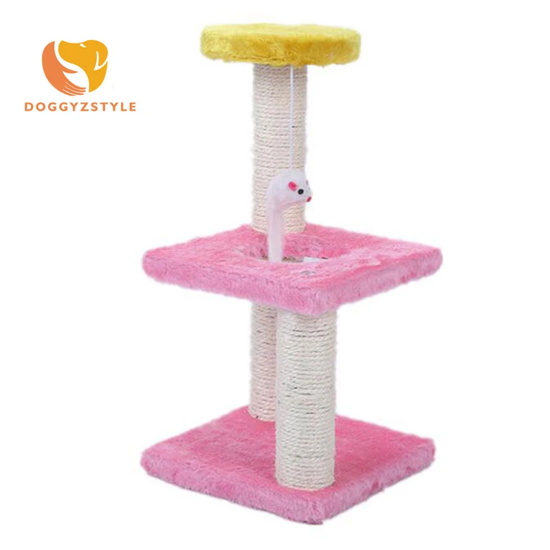 cat climbing shelf
