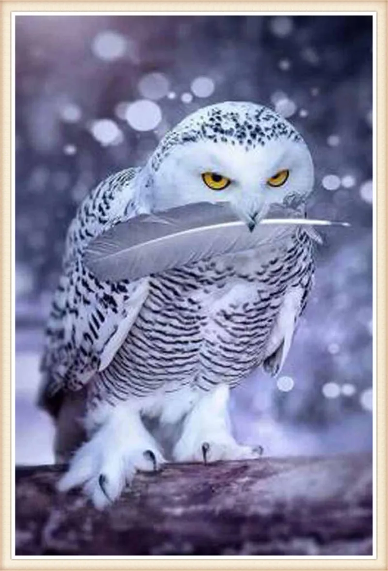 

5D DIY diamond Painting White Owl Cross Stitch Decorative Needlework diamond mosaic diamond embroidery Christmas gift