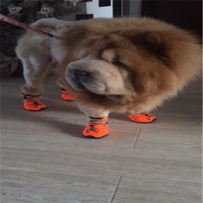 5050
