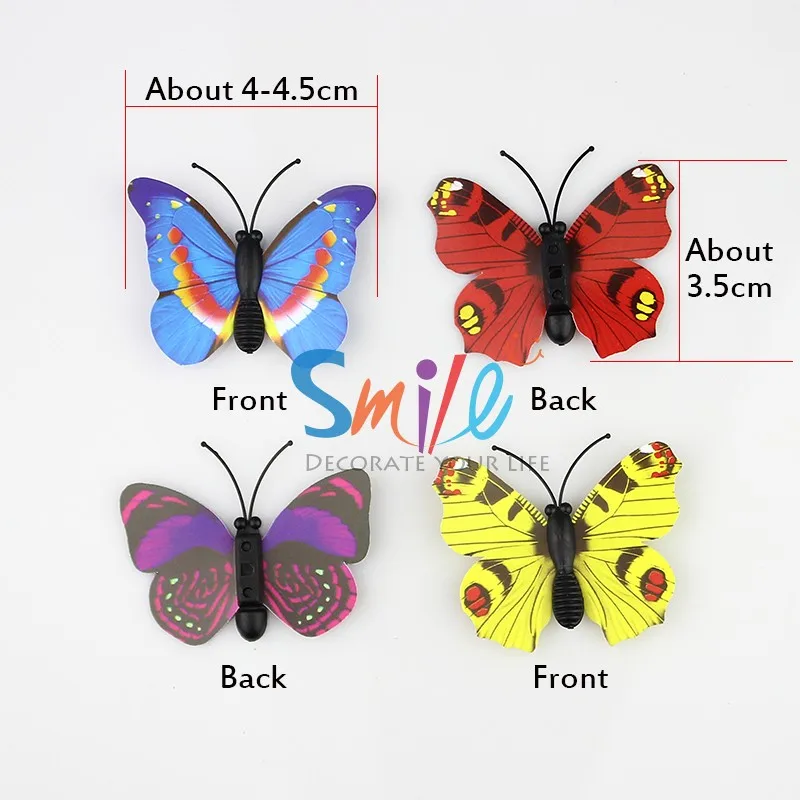 IMG_4304 butterfly 3D-01