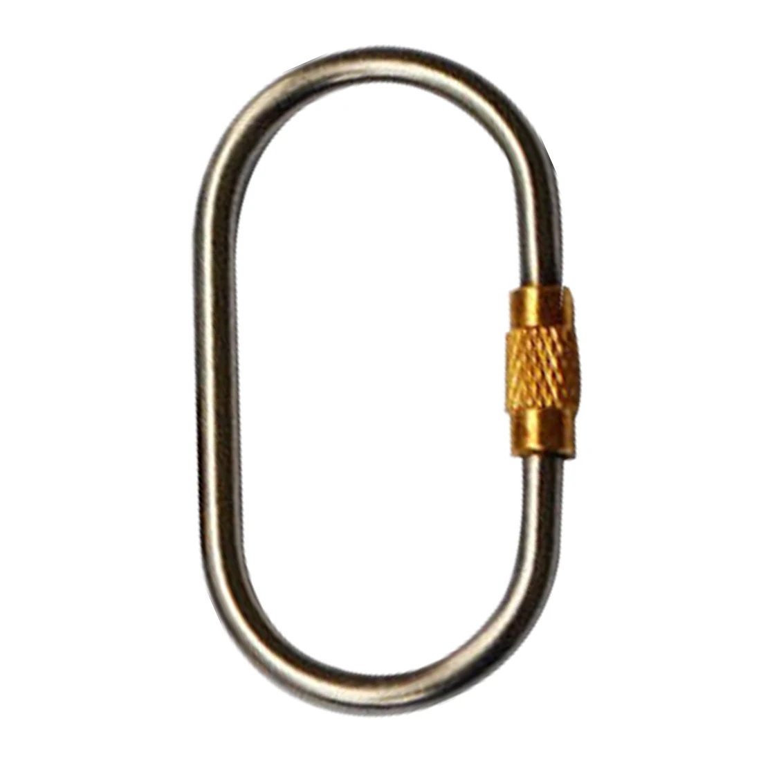 

Hot Sell Titanium Alloy D Shape Carabiner Screw Lock Bottle Hook Buckle Hanging Padlock Key Chain Camping Hiking