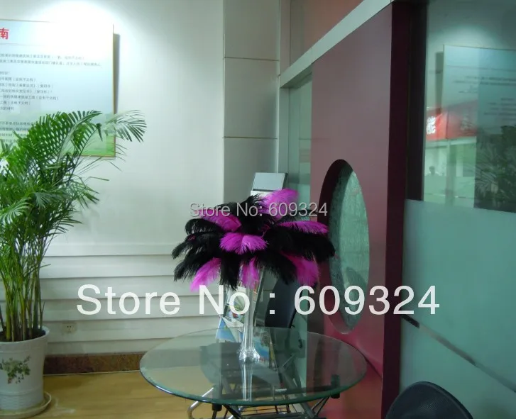 

Free Shipping-Wholesale 100 pcs/lot 12-14inch(30-35cm) Fushia and black Ostrich Feather Plumes for wedding centerpieces
