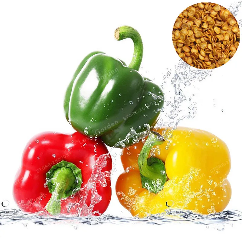 

100 Pcs 5 Colors Pepper Bonsai Vegetables Bonsai Chili Sweet Colorful Ornamental Pepper Skgs Bonsai Edible Balcony Bonsai Plant