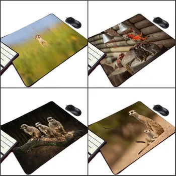 

Mairuige So Cute Funny Animals Meerkats Pattern Diy Pc Computer Gaming Mousepad Small Size Table Rubber Mouse Pad Pet Cat Dog