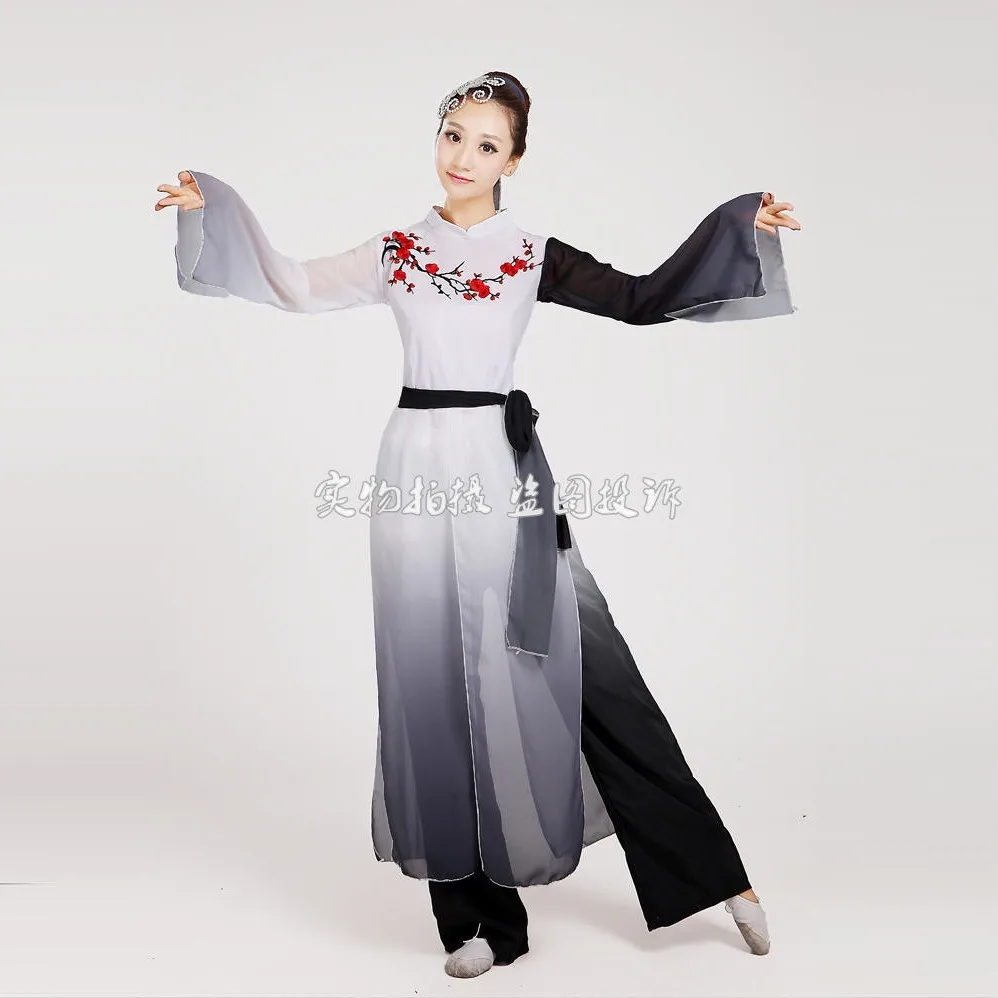 woman Gradient ink water sleeves costumes Chinese Classical dance clothes Plum tears embroidery Hanfu ancient fairy set
