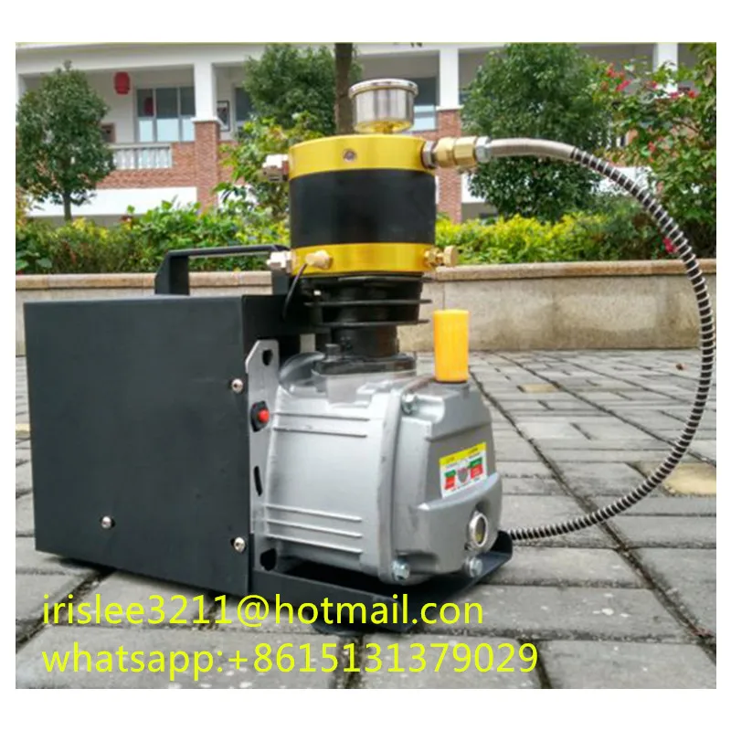 Buy 4500psi 220V Portable Air Compressor Pump