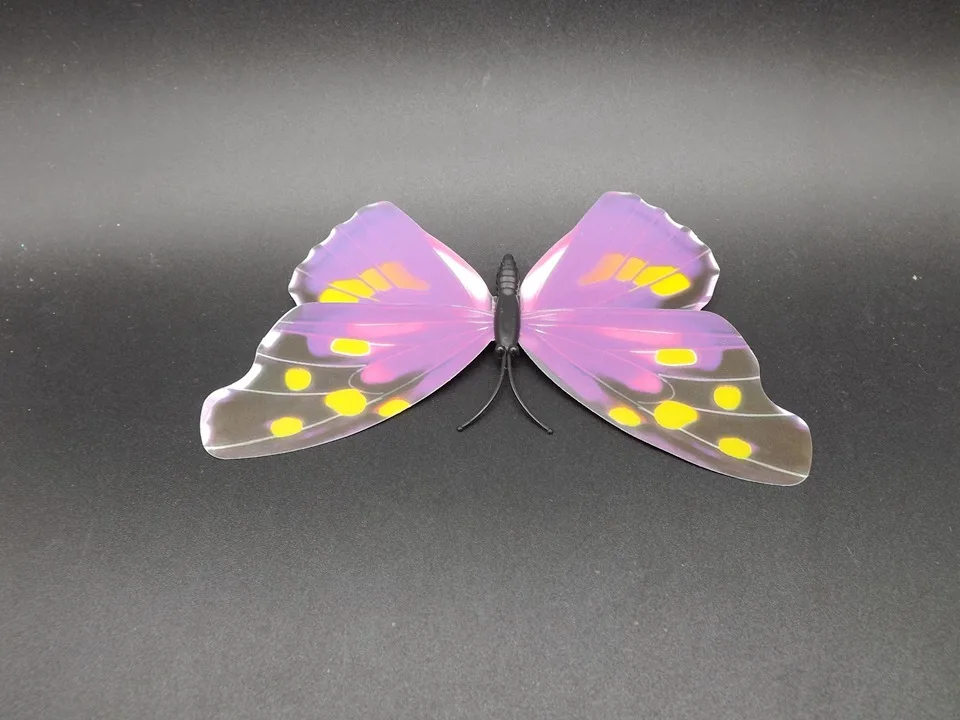 I241-Butterfly (7)