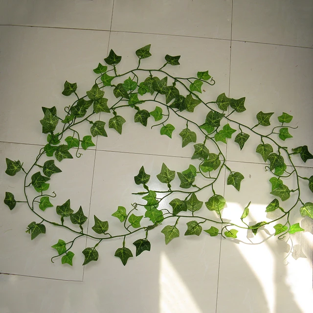 2 4 m sztuczny bluszcz zielony liść Garland rośliny Vine fake liści kwiaty Home Decor plastikowe sztuczne kwiat rattan String tanie i dobre opinie Sztuczne kwiaty Hybrydowy z mocniej Strona Łańcuch kwiatów Kawałek 0 05 kg (0 11 funta) 10 cm x 15cm x 10 cm (3 94 cala x 5 91 cala x 3 94 cala) 2 4 m sztuczny bluszcz zielony liść Garland rośliny Vine fake liści kwiaty Home Decor plastikowe sztuczne kwiat rattan String tanie i dobre opinie Sztuczne kwiaty Hybrydowy z mocniej Strona Łańcuch kwiatów Kawałek 0 05 kg (0 11 funta) 10 cm x 15cm x 10 cm (3 94 cala x 5 91 cala x 3 94 cala)