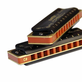 

Easttop Harmonica Diatonic 10 Holes Blues 2 pieces/lot Easttop Harmonica C D E F G A B C# A# D# F#