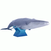 

Simulation Animal Series Blue Whale Paper Model