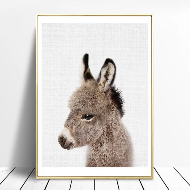 il_fullxfull.1257234313_sujj