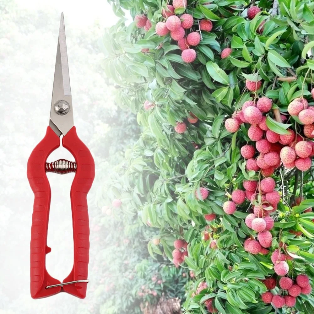gardening grass scissors chopper garden bonsai tools plant grafting