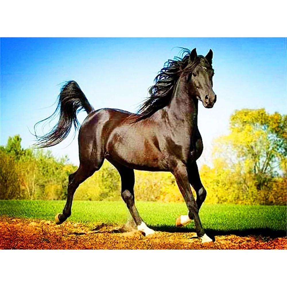 

Horse,Full,Diamond Embroidery,Animal,5D,DIY,Diamond Painting,Mosaic,Cross Stitch,Needlework,Round Rhinestone,Home Decoration,Art
