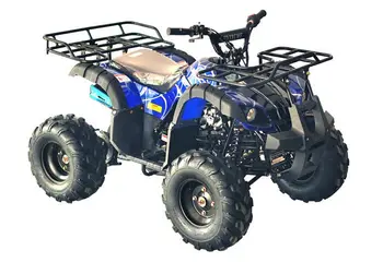 

Smart 125cc ATV Beach Buggy