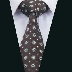 Dh-1462 Новое поступление Барри. ван моды Для мужчин Галстук коричневый новинка галстук шелк жаккард Галстуки для Для мужчин Бизнес Свадебная