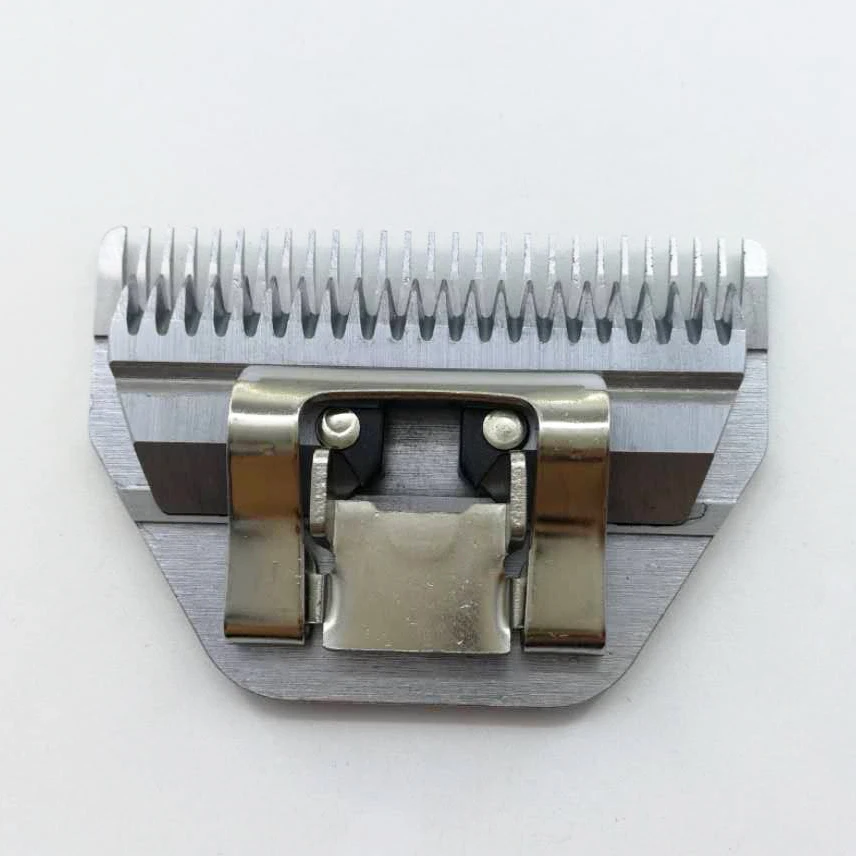 10w (1)
