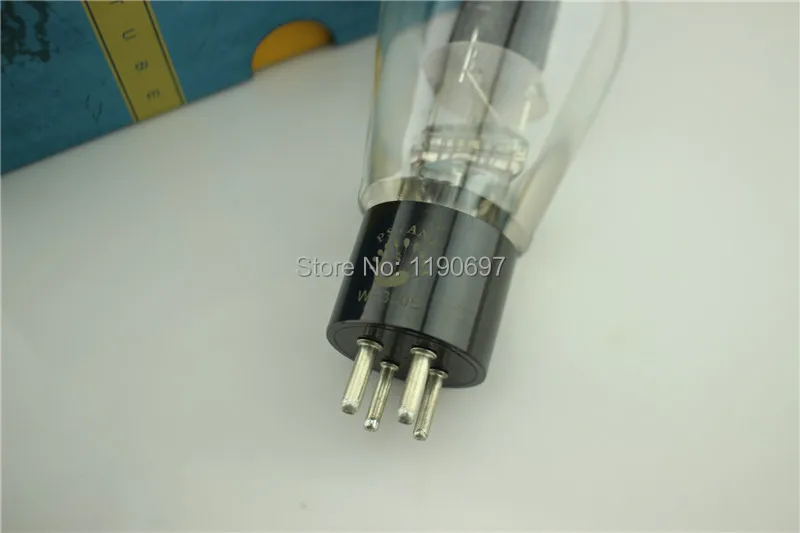  WE300B (3)