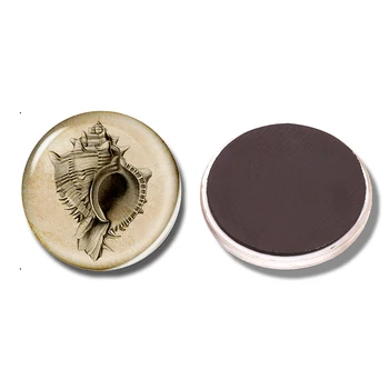 

Shell 30MM Fridge Magnet Sea Life Seas and Oceans Art Glass Cabochon Magnetic Refrigerator Stickers Note Holder Home Decoration