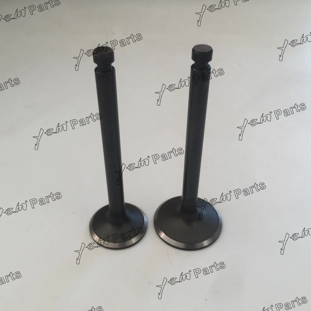 3T84 Valve EX IN