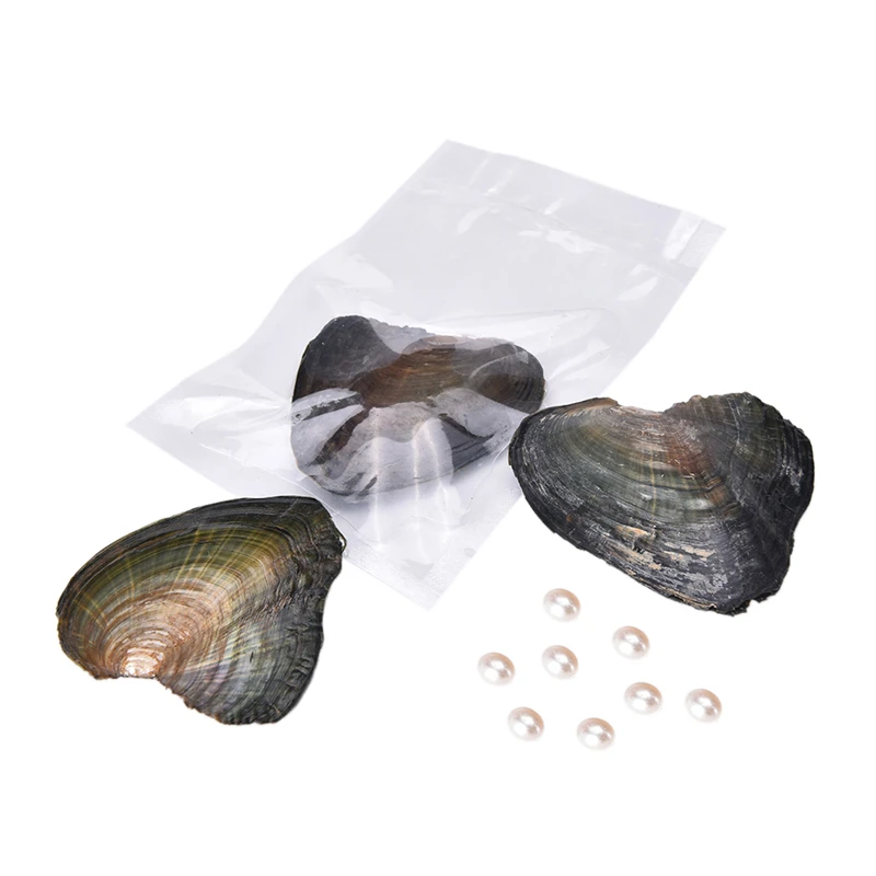 

Fresh Water Vacuum-pack Oyster Wish Pearls, Pearl Mussel Shell With Pearl Inside, Different Color Pearl Mysterious Surprise Gift
