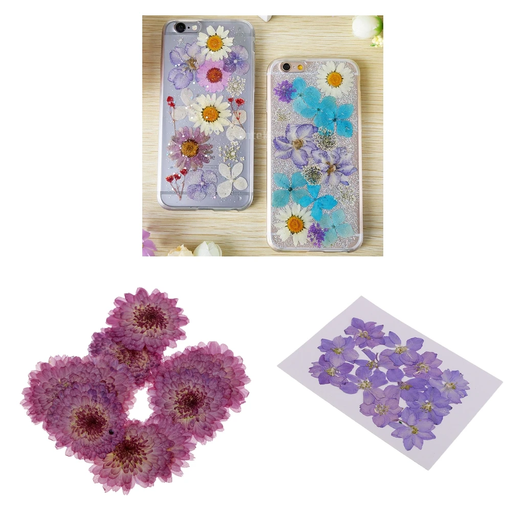 22 Pieces Purple Daisy and Larkspur Dried Pressed Flowers Handmade Real Flowers Case for Phone Decoration DIY