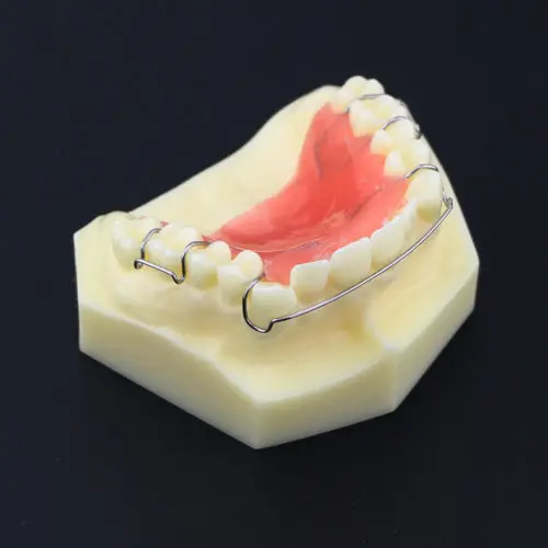 

Dental Teeth Study Teach Model Hawley Retainer Model 3007 01