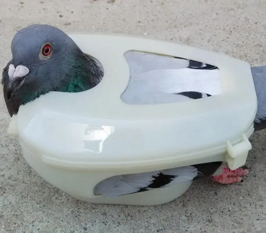 pigeon holder promotion shop for promotional pigeon holder pigeon holder promotion shop for promotional pigeon holder