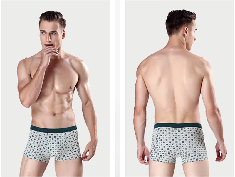 boxer012