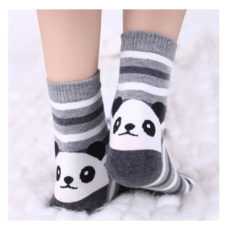 MYORED 5 pairs/lot female socks cotton funny short socks cute girls socks cartoon animal women cute socks Calcetines NO BOX