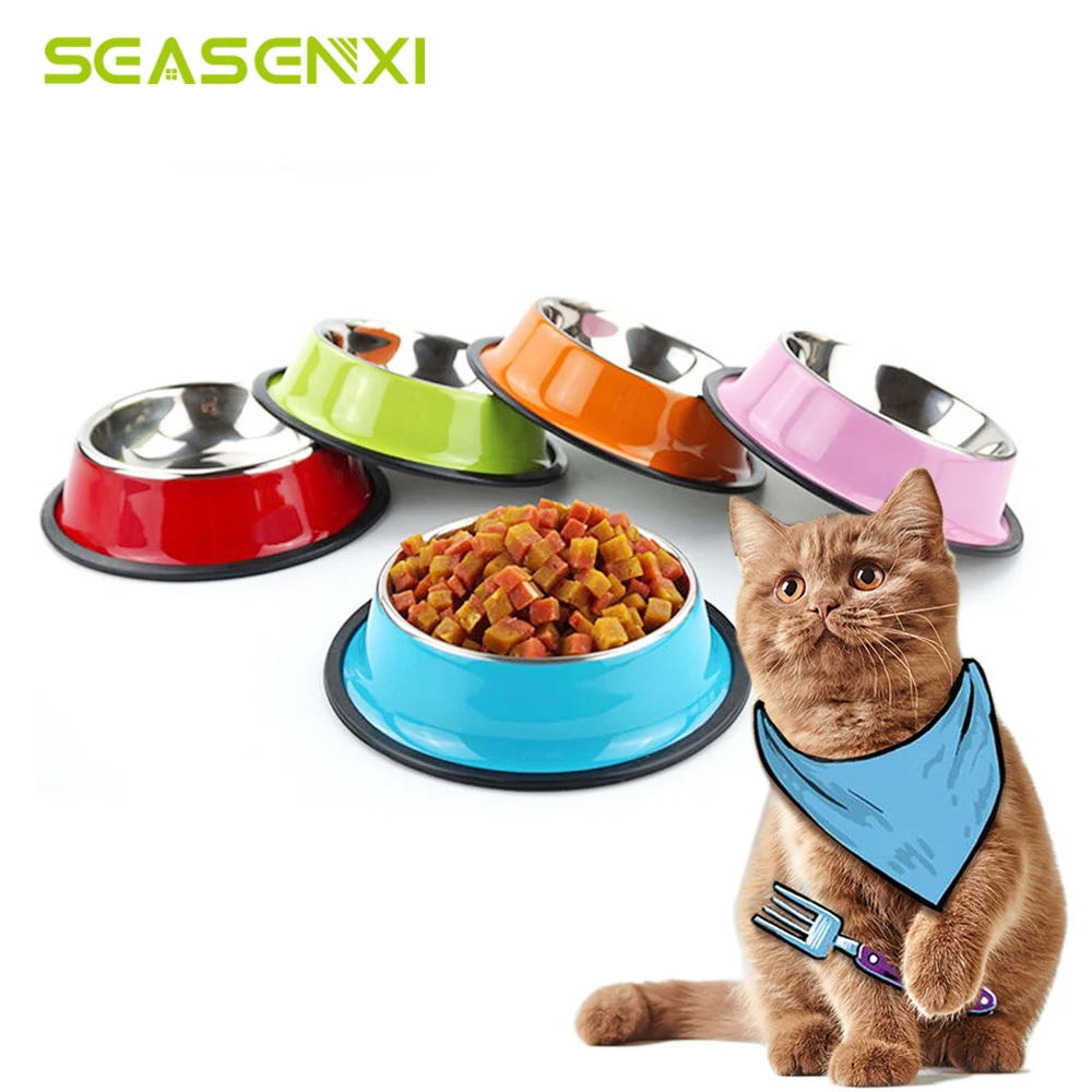 Stainless Steel Bowl For a Cat Kitten Durable Colorful Bowls For Cats