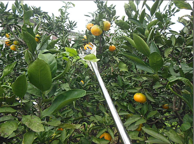 08 MPT Garden Tools Metal Fruit Picker Gardening Picking Apple Citrus Pear Peach High Branches Tree Picking Tool Hand Tools