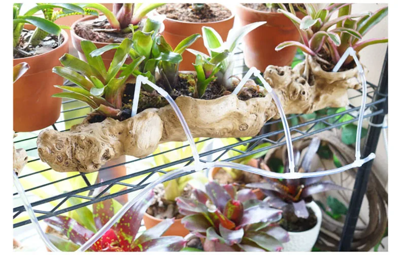 HTB1CdiEalsmBKNjSZFsq6yXSVXaw.jpg?width=