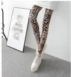 Для женщин Леггинсы Sexy 8 видов стилей модные женские туфли шкуру леопарда печати леггинсы 2016 г. Весна Для Женщин Леггинсы Леопардовый узор